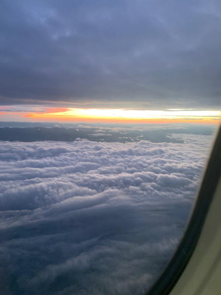 Luisproject_'s tweet photo. La mejor manera de cuidarte es con tus pies.

Simplemente aléjate del lugar donde te sientes mal...
#BuenosDíasATodos
#Veracruz #Oaxaca #Cordoba #Xalapa #Orizaba #Mexico #Madrid #Barcelona  #Sevilla #Andalucia https://t.co/32gNX19P9e