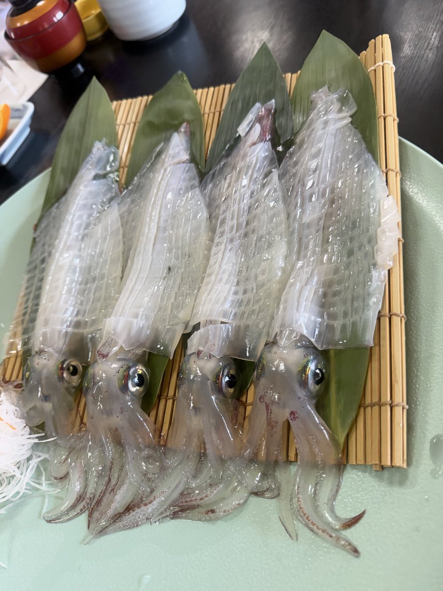 CherryHeartilly's tweet photo. 先週旅行行ってきました✈️
鹿児島→宮崎→大分→福岡
九州楽しみました😌
桜島行ってみたり。夜の天文館、中洲で
遊んでみたり。無人島まで歩いて海渡ってみたり。イカ食べてみたり。
いろんな体験した旅行でした٩( 'ω' )و
楽しかったです。 https://t.co/9XFQB96EhO
