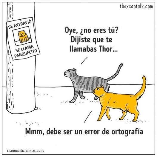 laiayfrodorw's tweet photo. Panquecito https://t.co/EYNpqvfhxh