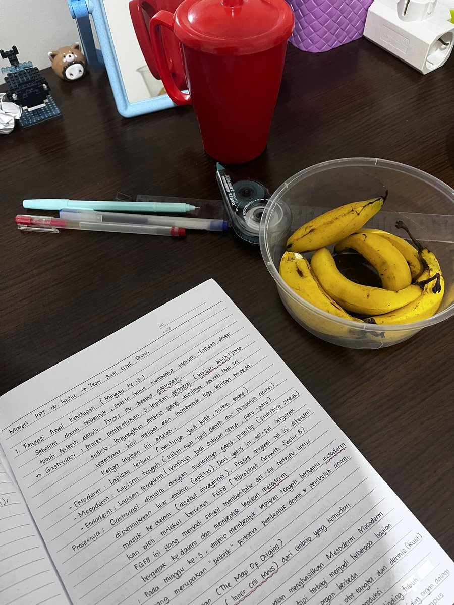 jeeyioo's tweet photo. nyatet ditemenin pisang🐵 https://t.co/u52LZfWJv9