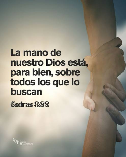 GuzmanSDaniel's tweet photo. Esdras enfrentó un viaje lleno de peligros, pero decidió confiar más en la mano de Dios que en la protección humana. 🔥
La FE VERDADERA no es ausencia de riesgos; es avanzar sabiendo que Dios va delante de ti. 🙏
#rpsp #Esdras8 #ConfianzaEnDios https://t.co/8os6MmF7My
