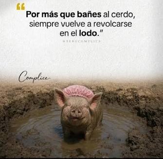 1Bosteromas's tweet photo. https://t.co/C2ZX6GxApq