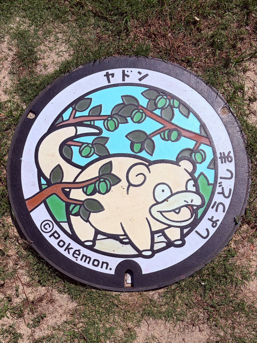 darusugiiii@ポケモンGO tweet media