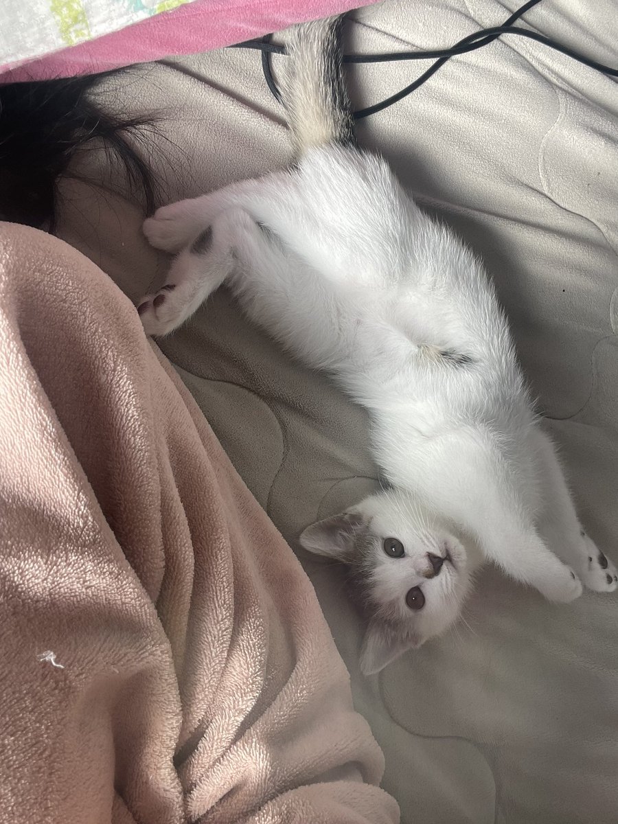 _kangsundae's tweet photo. 순대 진짜 작았던 거 아는 사람 https://t.co/p9Lz2HfHZA