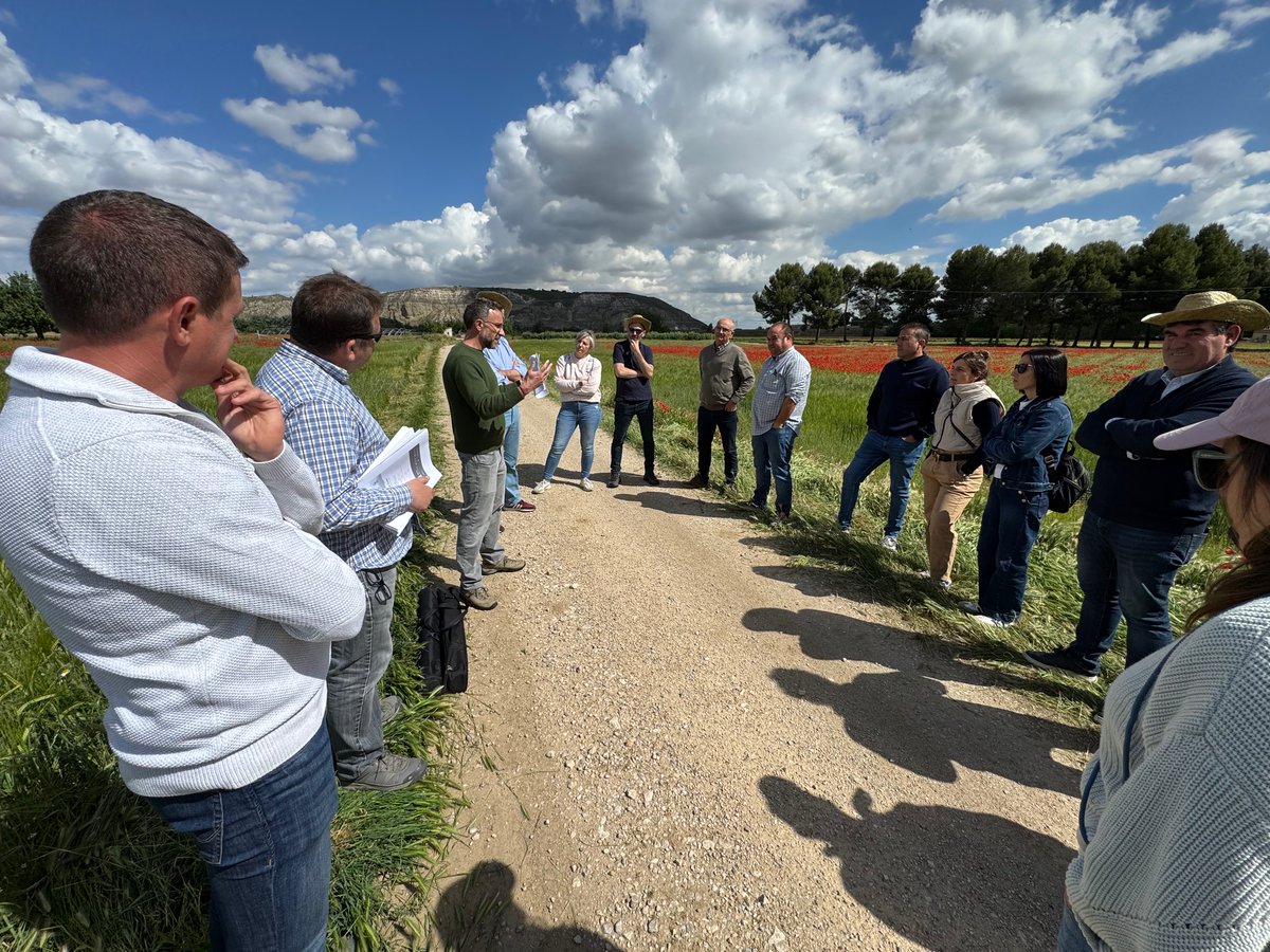 UPA_Federal's tweet photo. El proyecto @Leguminose_EU afronta su recta final. Tres años de trabajo y colaboración entre agricultor@s e investigadores del @CSIC. Hace unos días nos reunimos en Arganda.
Conclusiones 👇
https://t.co/mEm2vYQO1c https://t.co/6CYu1blIEL