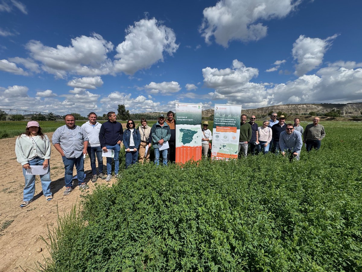 UPA_Federal's tweet photo. El proyecto @Leguminose_EU afronta su recta final. Tres años de trabajo y colaboración entre agricultor@s e investigadores del @CSIC. Hace unos días nos reunimos en Arganda.
Conclusiones 👇
https://t.co/mEm2vYQO1c https://t.co/6CYu1blIEL
