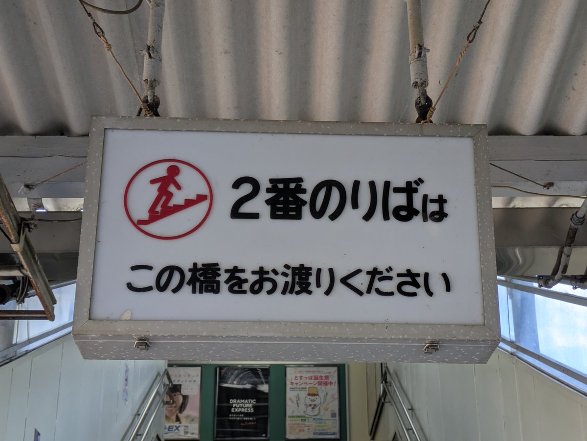 タイムマシン tweet media