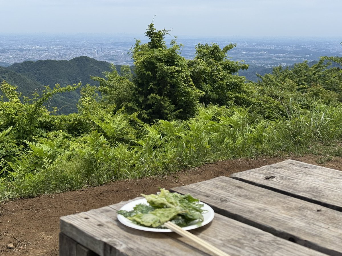 6maeda's tweet photo. 昨日はずっとやってみたかった陣馬山→景信山→小仏城山→高尾山の奥高尾縦走をやってきた！最後リフトに乗りたい誘惑を必死に堪えた自分褒めたい…！各山頂の茶屋で色々楽しめて最高ですわ。高尾山以外は座れないほどでは全然無いし。美味かった〜😋 https://t.co/aHBoMk2bJP