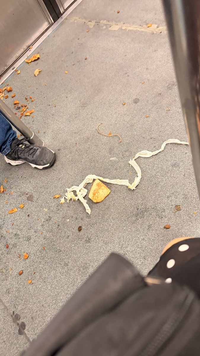 fannycastor87's tweet photo. @MetroCDMX de que sirve su remodelación en otras estaciones si en la línea B los vagones los tienen muy sucios 🤢 https://t.co/nVQL5Plb22