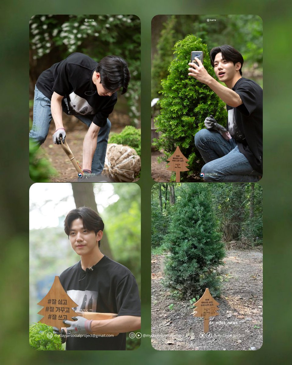mydayjarsocpro's tweet photo. Help RT agar kebaikan Dowoon semakin tersebar 🐶💙💙

1. Juli 2021, Dowoon menanam  “Pohon My Day” di Hutan Hongneung bersama Dinas Kehutanan Korea. Beberapa kali Dowoon sempat mengunjunginya, pun dengan Wonpil juga sempat berkunjung 🐰 https://t.co/Oltzzjkrpe