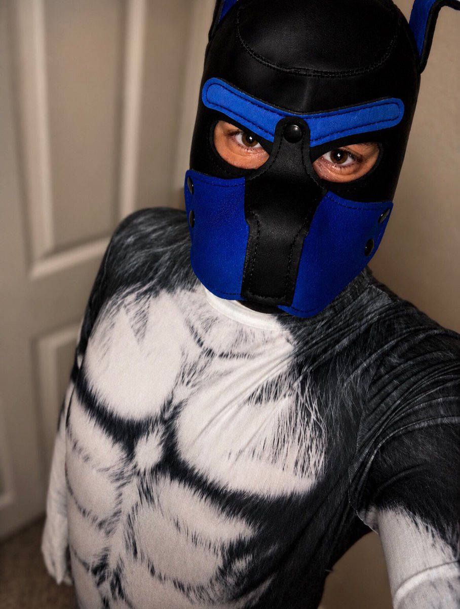 ZentBoy18's tweet photo. I just love being a slinky boy 

#gay #spandex #lycra #puppyplay #pupplay #gaypup #gaypuppy #puphood #petsuit #gaykink #gayfetish #gayfurry #gayfurries https://t.co/Oa03y6kTOx