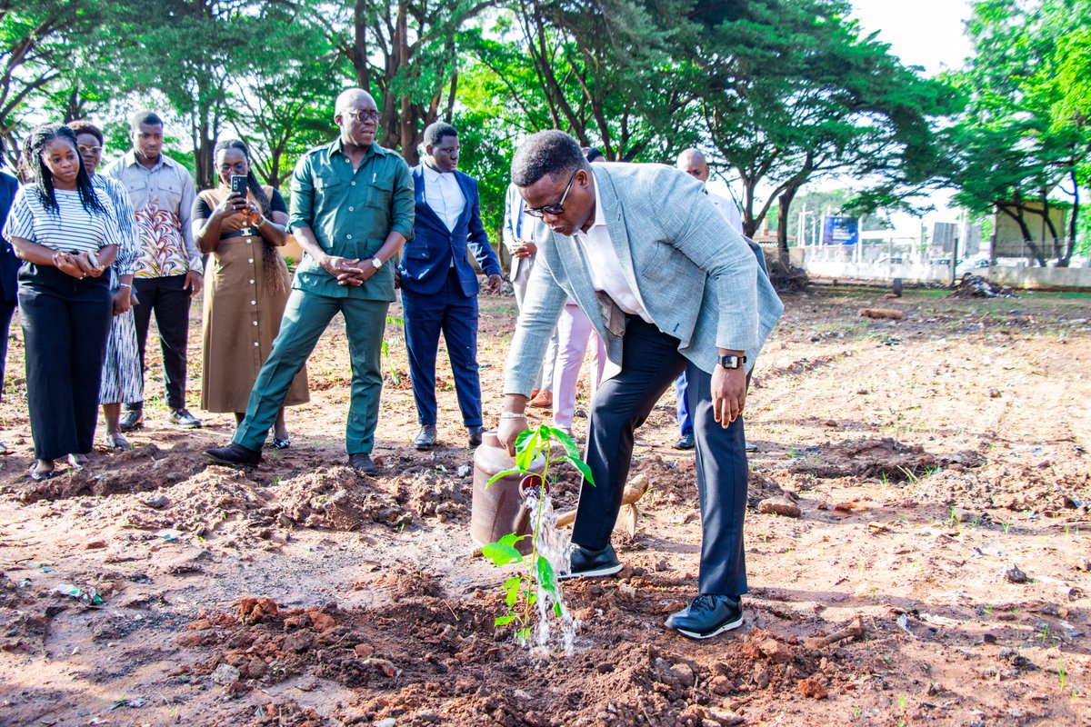 LomeAirport's tweet photo. À l’occasion de la Journée nationale de l’arbre, des plants ont été mis en terre dans le cadre de l’effort national de reboisement.

Au-delà du geste symbolique, cette initiative traduit un engagement en faveur de la préservation de l’environnement, de la restauration du couvert végétal et de la lutte contre les effets du changement climatique.

#JournéeNationaleDeLArbre #Reboisement #Environnement #DéveloppementDurable #Togo🇹🇬 🌱🌳