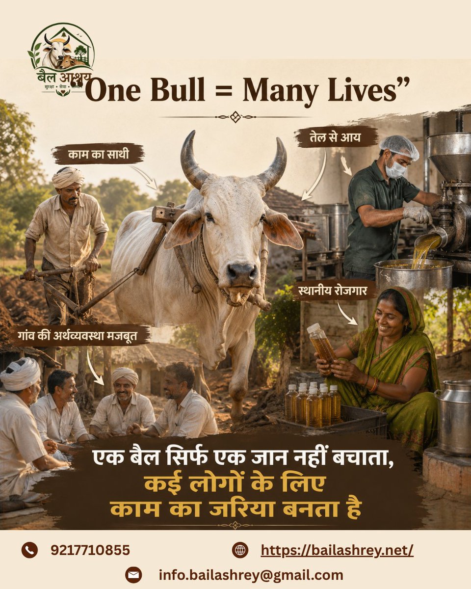 Bailashray's tweet photo. 🐂 एक बैल = कई ज़िंदगियाँ 🌾

खेती, रोजगार और ग्रामीण आत्मनिर्भरता का मजबूत आधार। 💚

📞 9217710855 | 🌐 https://t.co/wWDO6o3wGy | ✉️ info.bailashrey@gmail.com

#बैलआश्रय #OneBullManyLives #ग्रामीणविकास #गौसंरक्षण #आत्मनिर्भरभारत #कृषि #RuralDevelopment #VillageEconomy https://t.co/mGwqFOGroG