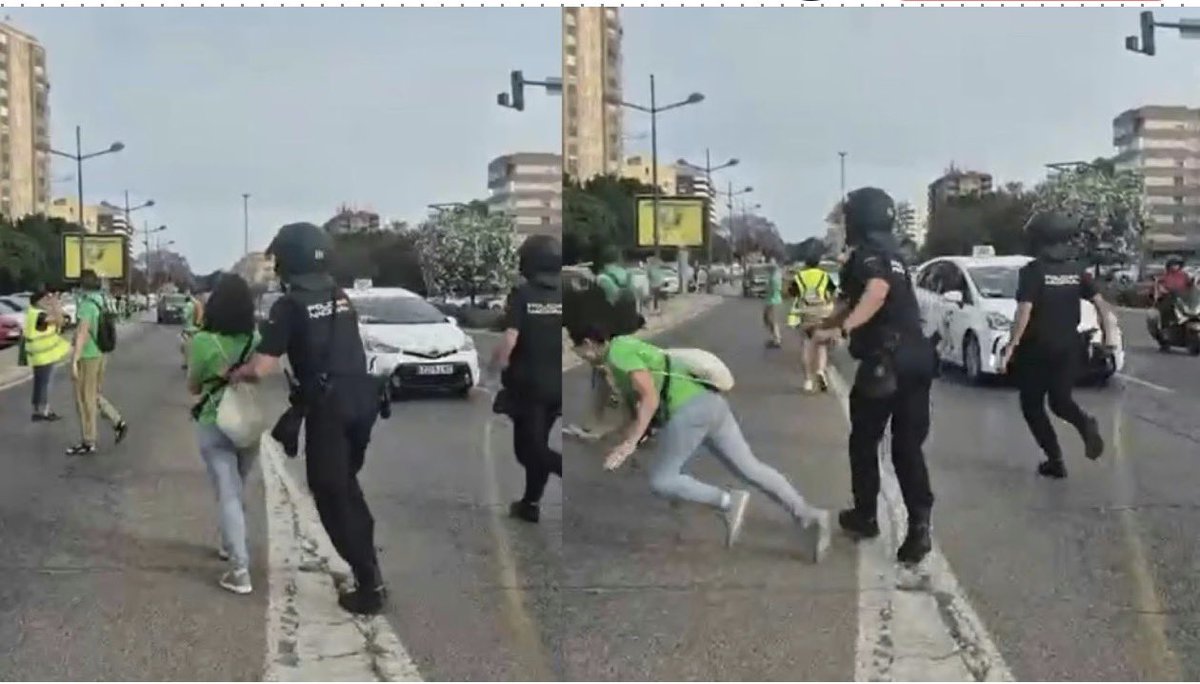 Joaquin Kremel tweet media