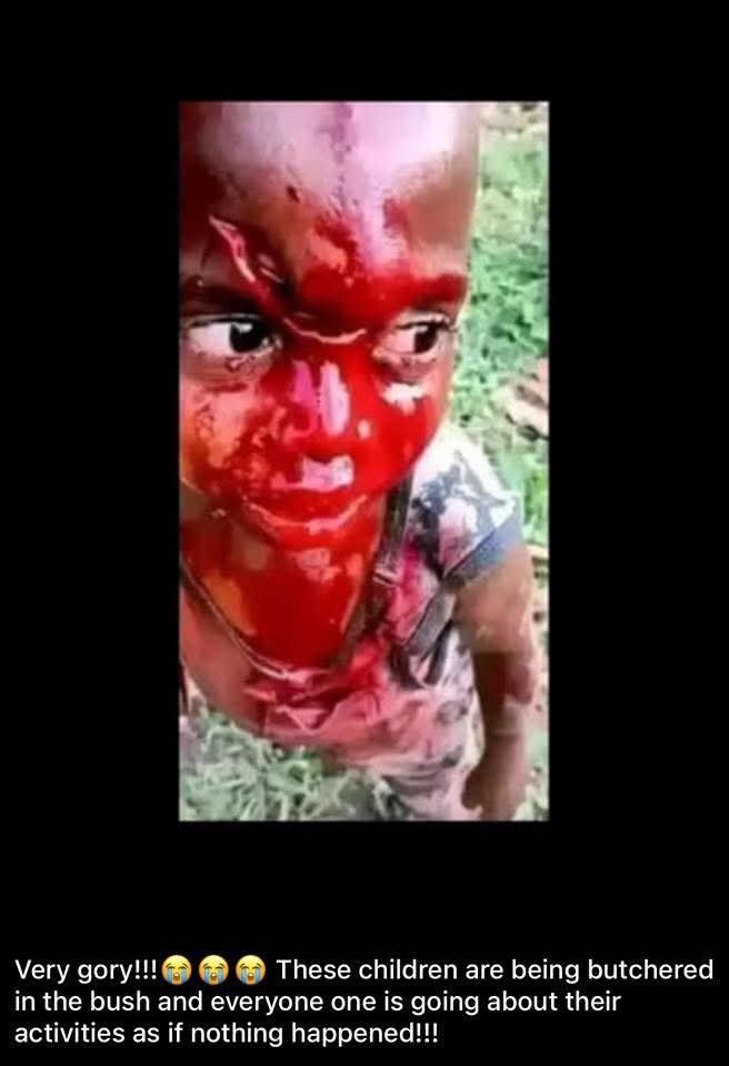 ada_ide12's tweet photo. Nigeria is eating it's young ones 😭

Nigeria is eating it's young ones 😭

Nigeria is eating it's young ones 😭

These children are innocent and their innocence has been taken from them. 

They went to school to become leaders of tomorrow but our present day leaders are evil. https://t.co/TcohLWgJ8v
