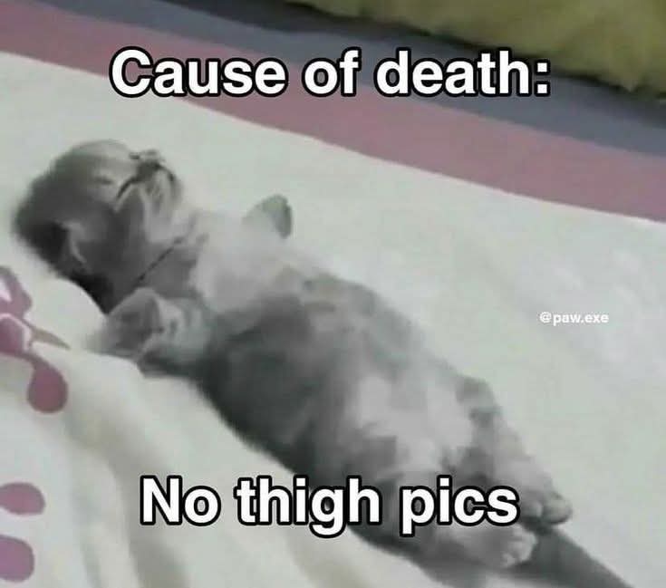my perfect drug tweet media