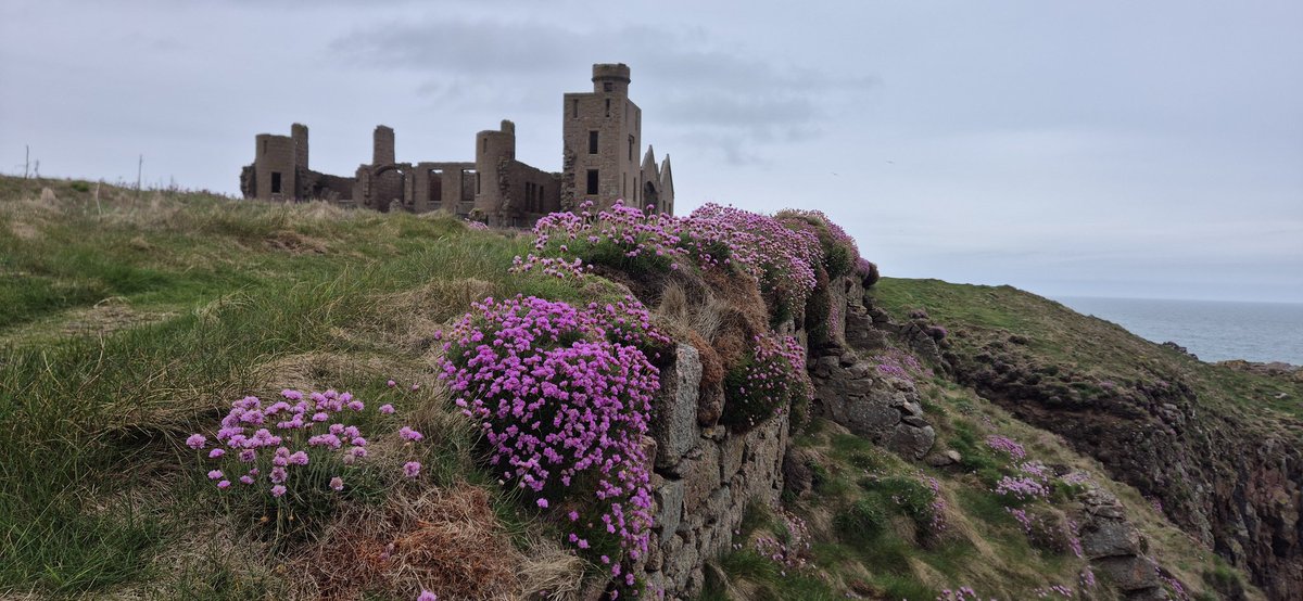 misswolfi's tweet photo. Dracula's Castle, Cruden Bay https://t.co/viTfWEV3ZY