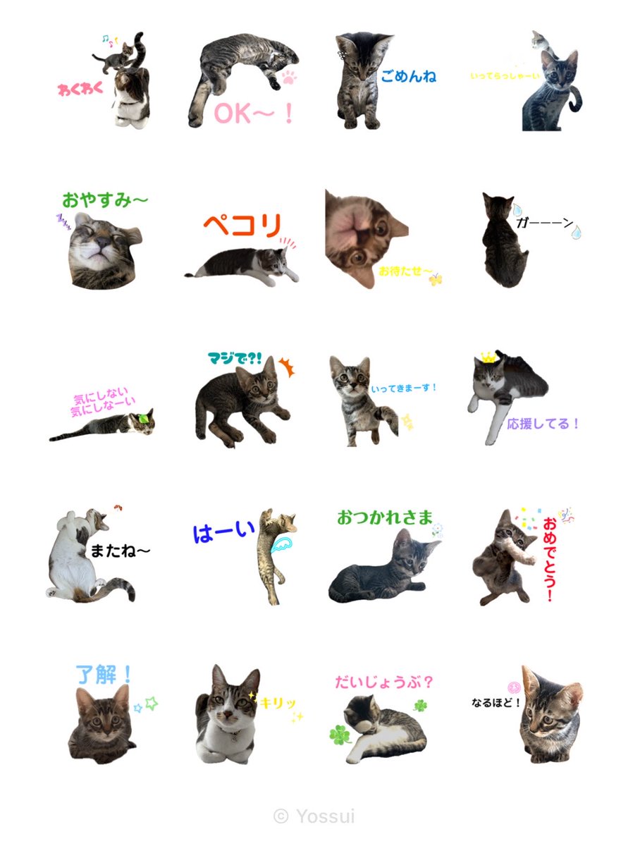 nekoinustamp's tweet photo. 新しいスタンプが出ました🐈‍⬛🐈🌸
よろしくお願いします😸
#ねこ #ネコ #猫 #cat #保護猫  #カイ #ルルー #kay #Luluu #ラインスタンプ #LINEスタンプ #LINEsticker #catsticker #catstamp #カイとルルー

https://t.co/hay7SXtkF1 https://t.co/ey3Uci6S7A