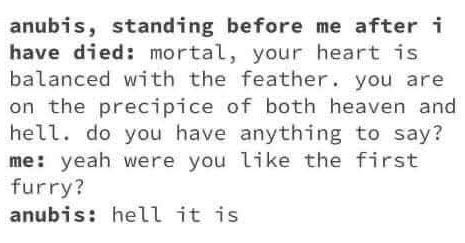 Classical Studies Memes tweet media