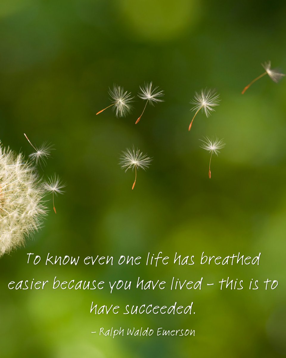 PateFarm's tweet photo. #MondayMotivation https://t.co/nxx5f2Tu4E