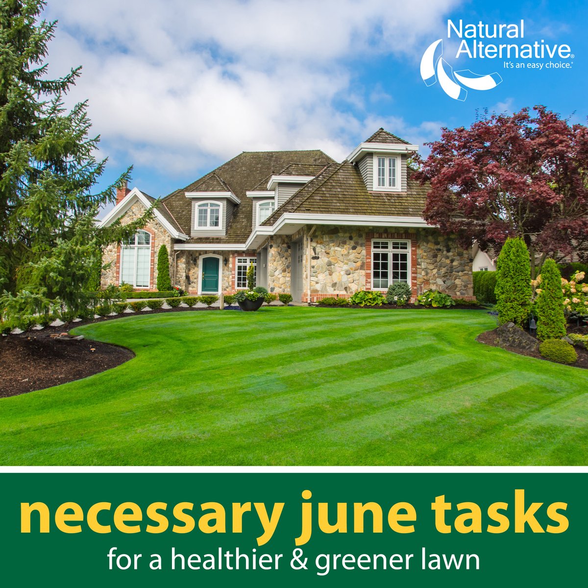 NaturalAltBrand's tweet photo. 🌱 Get your lawn and garden summer-ready!

June is the perfect time to give your lawn and garden a little extra TLC. Read our expert tips here: https://t.co/GDV4TV73FL

#NaturalAlternative #DIYGarden #JuneChecklist https://t.co/DzQmUcyyXB