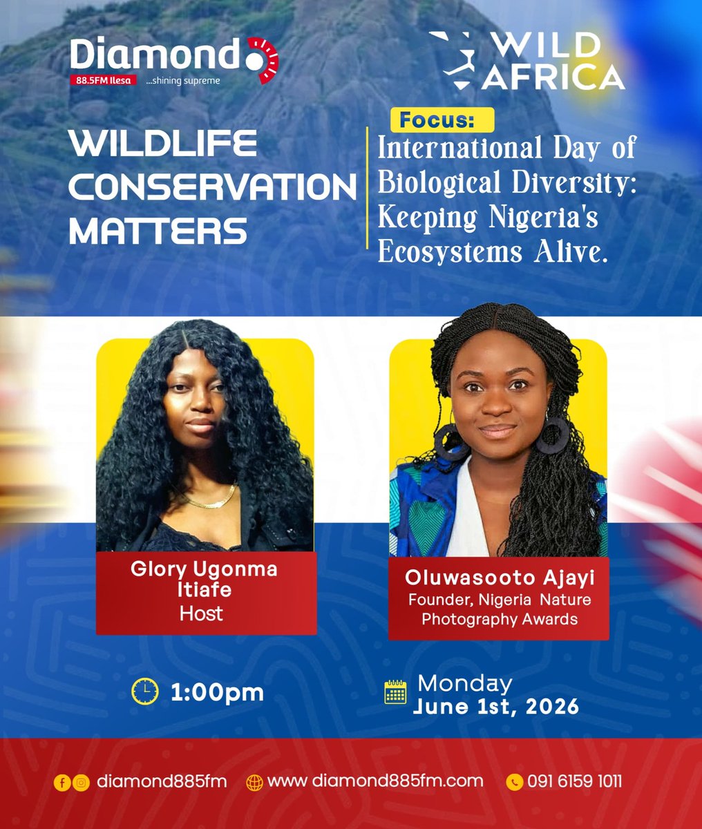 TheGlory01's tweet photo. Today on the show, my guest is @OluwasootoA, sustainability expert and founder of the bold new initiative, Nigeria Nature Photography Awards.
She joins me I'm discussing the importance of Nigeria's biological diversity and having it documented.

@WildAfricaOrg @diamond885fm https://t.co/xLcu5GWZKJ