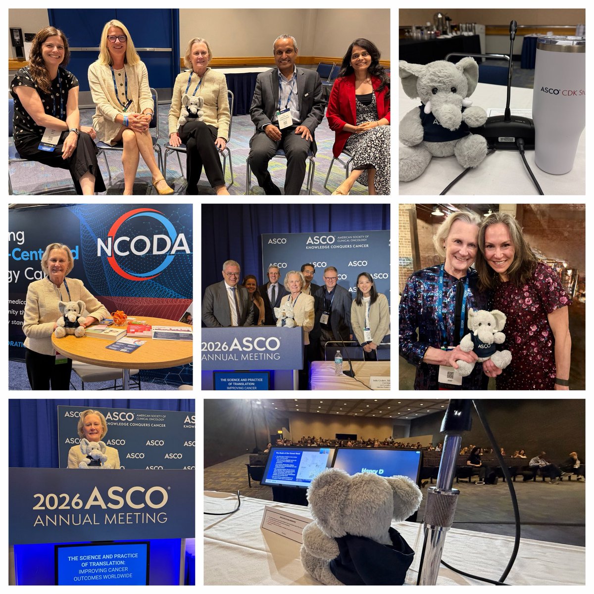 jrgralow's tweet photo. Eleanor the hardworking @ASCO elephant had a busy day Sunday @ #asco26 - press conference, education session, CDK study investigator meeting, National Cancer Grid India discussion, exhibit hall &amp;
President’s reception. Phew! @cspramesh @ManjuSengar7 @LGM_Biostats @AbbyRosenbergMD https://t.co/5Zfh6zzdzm