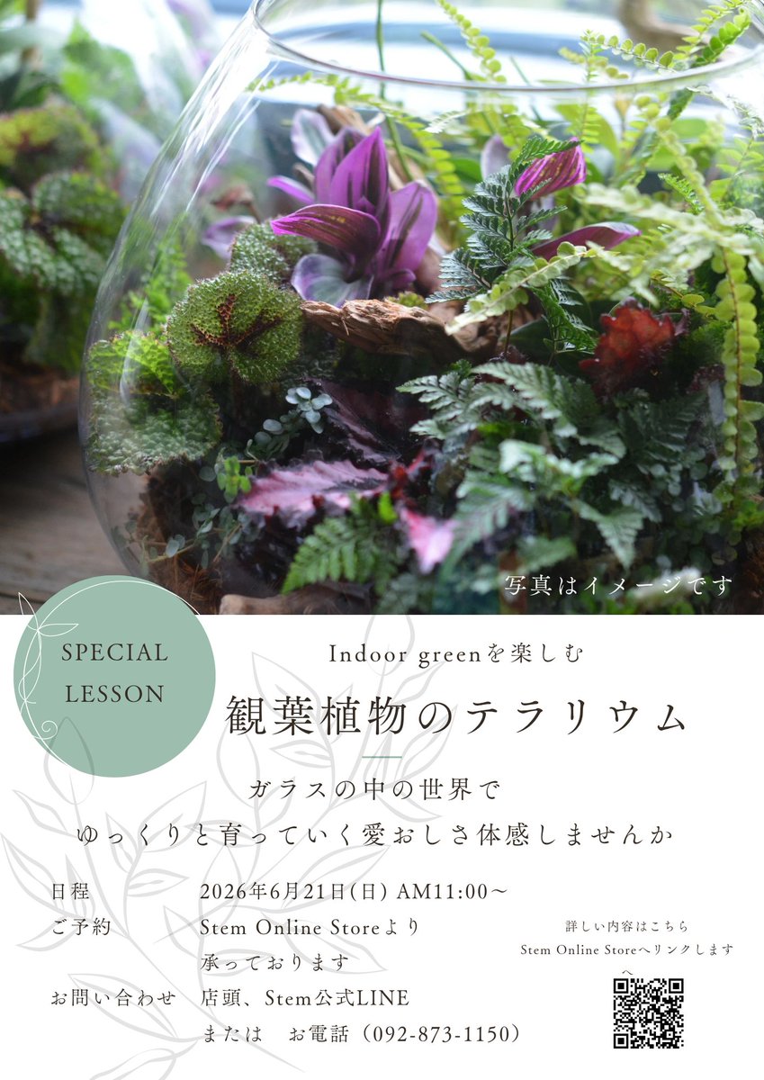 AtelierStem's tweet photo. ＃レッスン情報
2026年も開催します☺️
6/21 11:00-
『観葉植物のテラリウム』

詳しい内容はStemホームページよりチェック📢 https://t.co/3oil5eIc9w