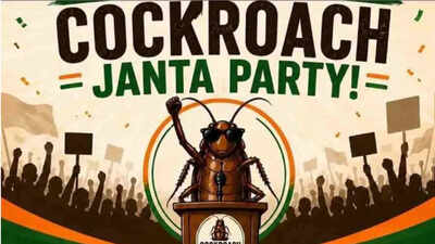 KraantiKumar's tweet photo. तिलचट्टा जनता पार्टी का अध्यक्ष अभिजीत दीपके 6 जून को भारत आ रहा है.

कॉकरोच को हिन्दी में तिलचट्टा कहा जाता है. 

अभिजीत दीपके खुद एलान किया वो 6 जून को भारत वापस आकर शिक्षा मंत्री धर्मेंद्र प्रधान का इस्तीफा मांगने के लिए जंतर मंतर पर ���ांतिपूर्ण ढंग से आंदोलन करेगा.

माँ बाप ने अभिजीत को USA पढ़ने भेजा था, बेटा राजन���ति कर रहा है, वो भी आंदोलन की शुरुआत बीजेपी के OBC मंत्री का खिलाफ कर रहा है,

जब कि बीजेपी में इस्तीफा लेने के लिए वित्त मंत्री, रेल मंत्री, विदेश मंत्री, गृह मंत्री और प्रधानमंत्री भी हैं.

लेकिन इस्तीफा OBC मंत्री से ही लेना है, प्रधानमंत्री या गृह मंत्री का इस्तीफा नही लेना है.