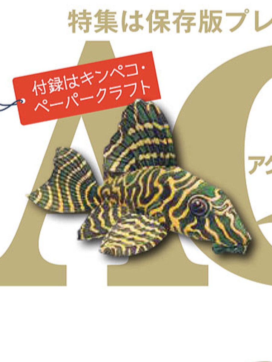 paperkura2021's tweet photo. もうすぐ発売の「アクアライフ7月号」に、なんと私ペパクラけんじのペーパークラフトが付録に採用されました！😁
私のペーパークラフト人生の宝になるほど嬉しいです…！
#アクアライフ https://t.co/cAWX7myM4p