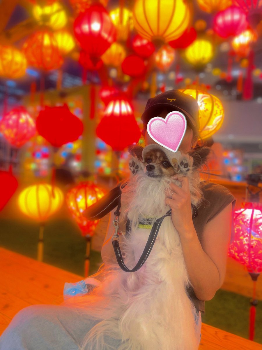double_papillon's tweet photo. 今年もベイクウォーターでランタンイベントやってた🏮✨ https://t.co/v9Io6UzNRl