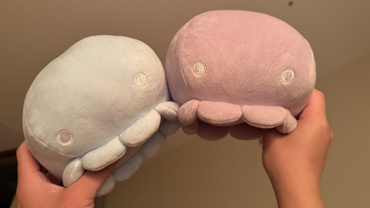 たえちゃん (@taecyan_) / Posts / X