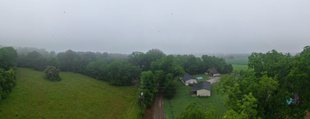 Daniel_Harbin's tweet photo. Dense fog across Trenton &amp; Paint Rock Valley. #AlabamaWeatherNetwork #alwx #valleywx #HUNwx @spann @BenSmith_WHNT @weswyattweather @simpsonWVTM13 @AriWeather @DrewMcCombs @wxhistorian @Sadiemorristv @monsoonchaser @StormTrack9Bill @DanielleDozier @WEATHERmanBURKE @jeffcastlewx https://t.co/cs0B7C6y5q