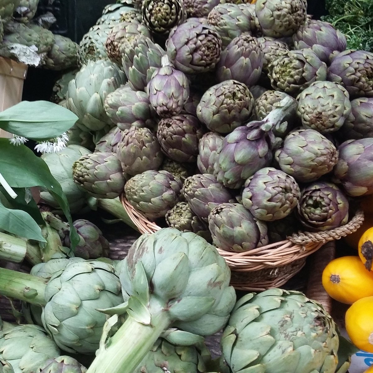 BSeasoned's tweet photo. In season this June 😋
Asparagus beetroot broad beans cherries courgette flowers elderflower French beans globe artichokes gooseberries lettuce new potatoes peas radish
raspberries rhubarb runner beans peppers watercress https://t.co/n4eyRy4UyU