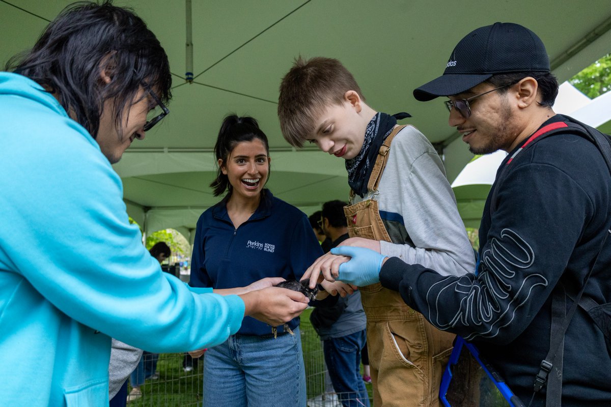 PerkinsVision's tweet photo. From shared moments to new experiences, days like our Annual Family Carnival remind us how important accessible, welcoming spaces are for every child and family we serve here at Perkins. https://t.co/2yJ3UOu9c7