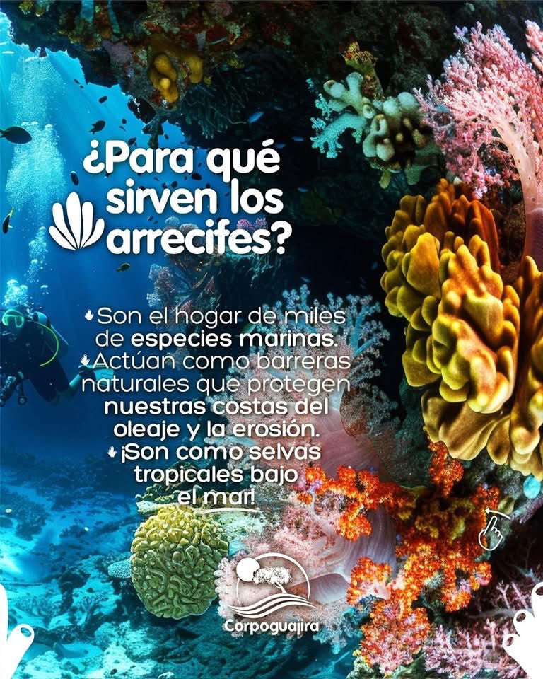 Corpoguajira tweet media