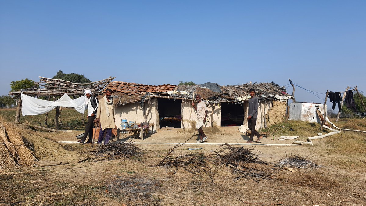 down2earthindia's tweet photo. Conflict in the Backyard | Madhya Pradesh

In Madhya Pradesh’s Bundelkhand, farmers say nilgai, wild boar and stray cattle now pose a bigger threat than drought.

These crop-raiding animals are wiping out sesame, peas and chickpea, leaving farmers with mounting losses and little certainty of harvest.

Many now spend nights in makeshift huts, guarding their fields with torches. Even then, a single raid can destroy months of work.

For some, farming is no longer viable. They are abandoning cultivation and migrating to cities in search of wage labour.

This is the first story in our Conflict in the Backyard series, which looks at how human-wildlife conflict is reshaping rural livelihoods across states.

https://t.co/HNLZSY00OG

#ConflictInTheBackyard #MadhyaPradesh #Bundelkhand #HumanWildlifeConflict #Farmers #Nilgai #WildBoar #StrayCattle #RuralLivelihoods #Migration

🖋️ @bsrivas