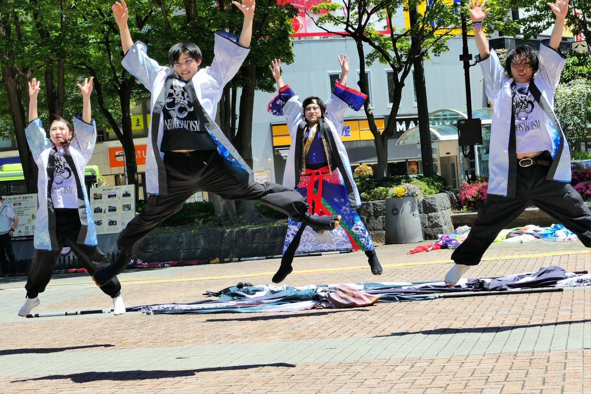 桜小町 tweet media