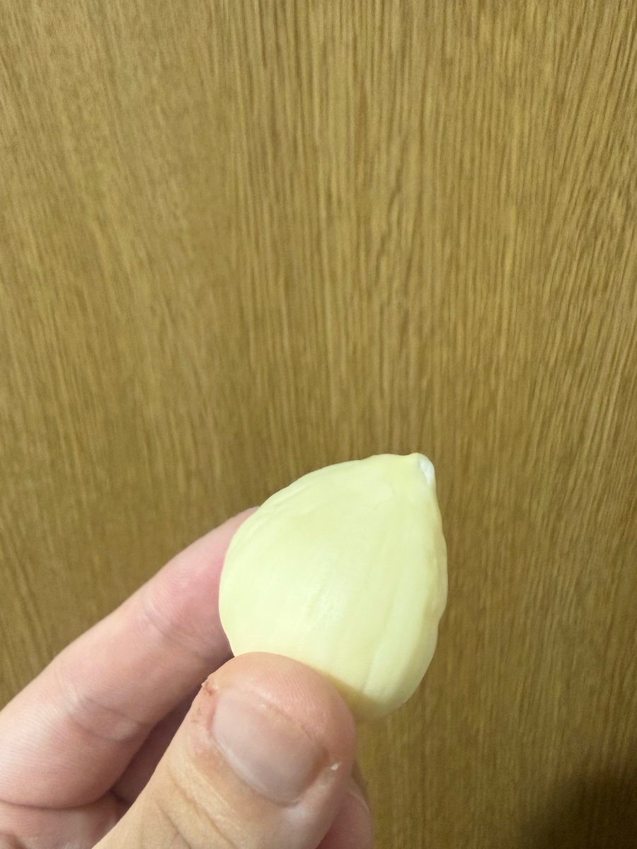 kappibread's tweet photo. マカダミアナッツくらいでかいニンニク！初めて見た！！ https://t.co/KPLB7ahxT8