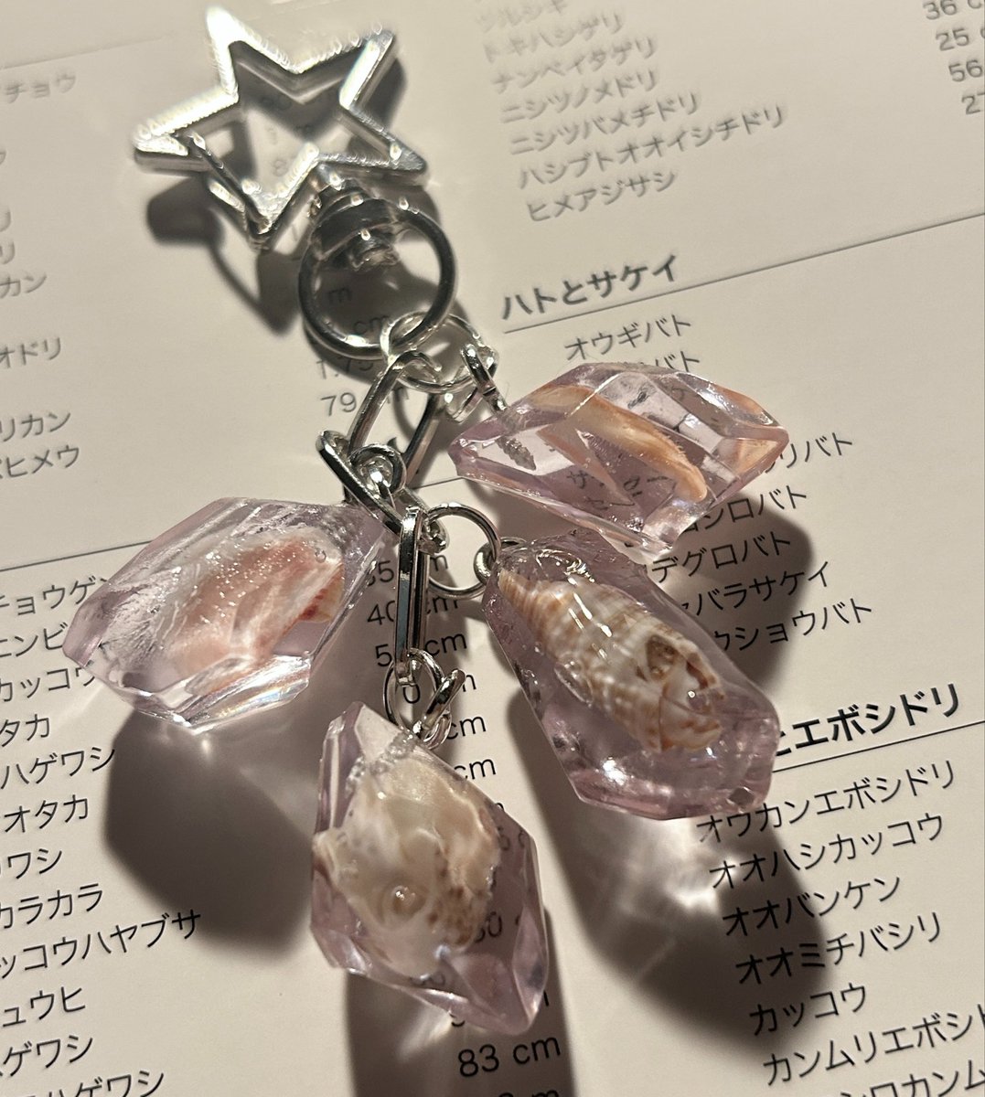 taanun28's tweet photo. 貝殻を想い出に🪸 https://t.co/7udsHlisZb