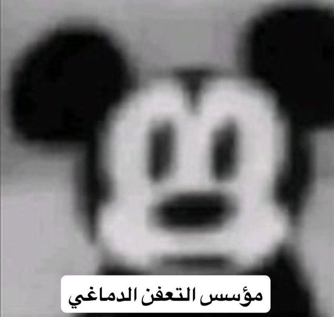 𝑯𝒊𝒃𝒂 ☄ tweet media