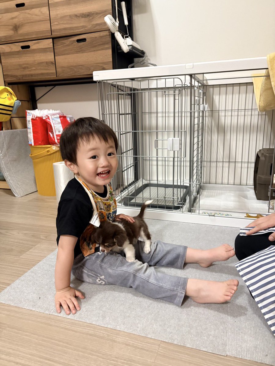omoomohoiku's tweet photo. チワワちゃん飼った。
8月に2人目が産まれるのに🥹
ぱぱがんばるぞぉおおおおお https://t.co/DqFearGEay