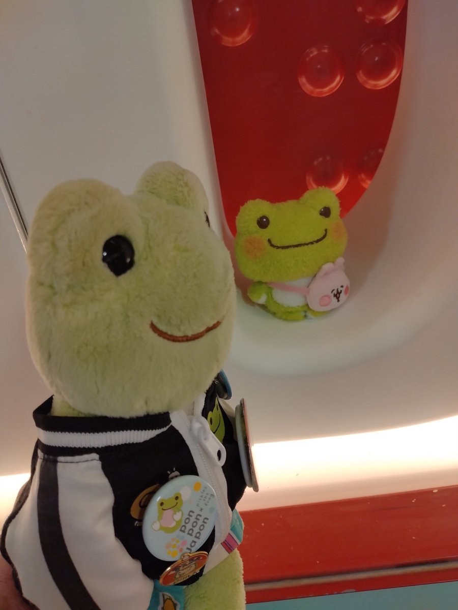 Terubaer17's tweet photo. ピクルスちゃんHappy　Birthdayケロ🐸 https://t.co/9WqVB2XahQ
