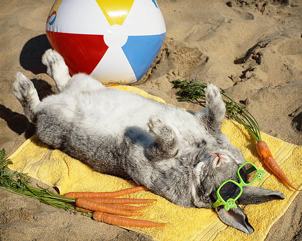 RockyTrails's tweet photo. Rabbit Rabbit Rabbit https://t.co/62ijOsacqj