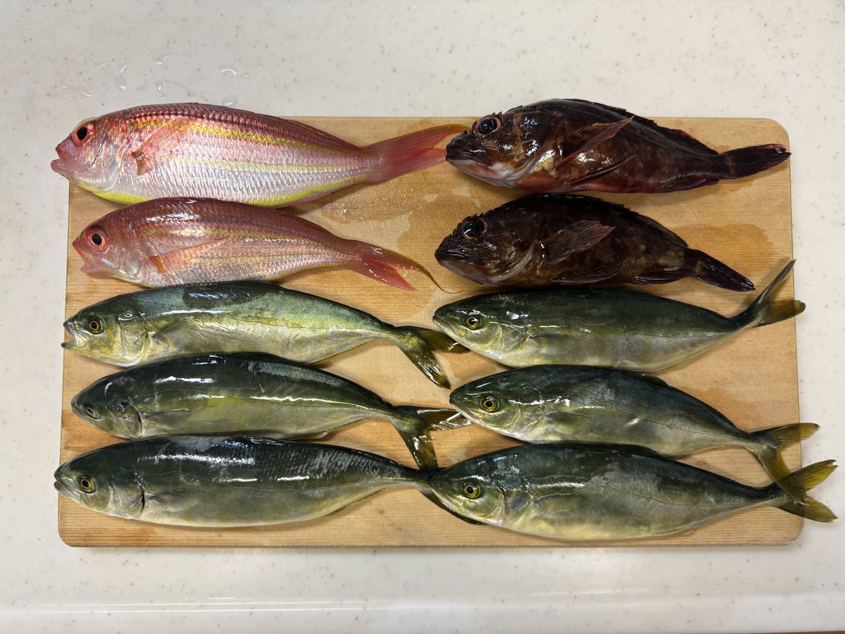 riverfishingjun's tweet photo. 土曜の釣果！
次は太いリーダーで絶対切られないようにしないと https://t.co/GGCGjdnHv0