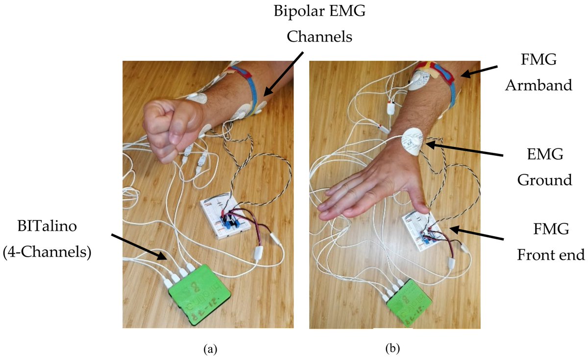 Signals_MDPI's tweet photo. ✨#EditorsChoice✨

A Bimodal EMG/FMG System Using #MachineLearning Techniques for Gesture Recognition Optimization

By Nuno Pires and Milton P. Macedo

👉See the paper: https://t.co/jOREtTAn4Q https://t.co/MSbNzBEBpd