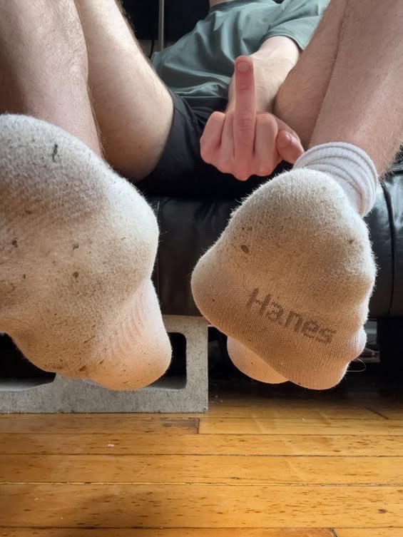 UsendJamescash's tweet photo. How badly do you want a $niff of my smelly socks?🥵😵‍💫😈
#footmaster #sockfetish #findom #footdom #serve https://t.co/fTeoaywMZN
