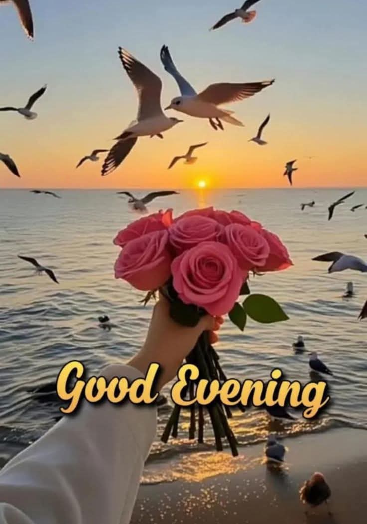 Lind 🇿🇦N...🇿🇦 tweet media