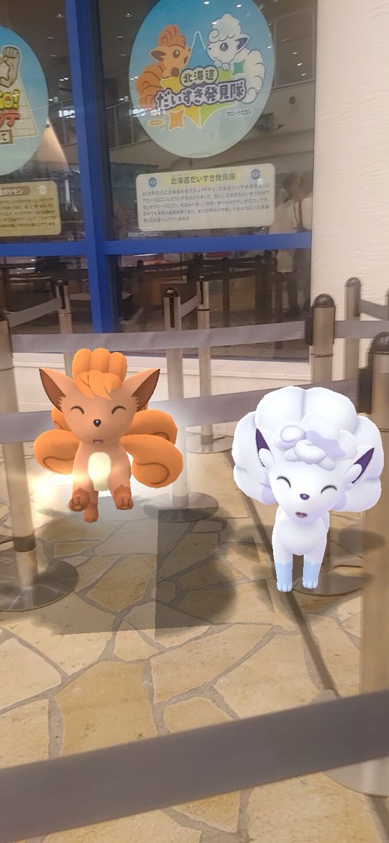 MY4705's tweet photo. ポケモンGOフェス記念撮影・アクアシティお台場、続き。

この期間中、アクアシティお台場ではポケモンとコラボの日本全国物産展も開催。

ここではロコンコンビ(北海道物産担当)及びメガカイリューを撮影。 https://t.co/E8CHvXj5hV