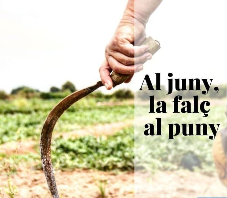 HaddockRCat's tweet photo. #DitaCatalana #Juny https://t.co/7MUMq7SLWY